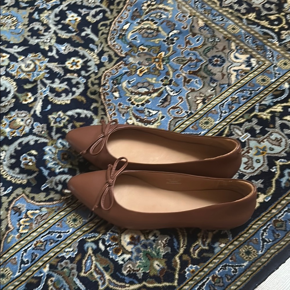 Elegant Quince Caramel Pointy Ballet Flats